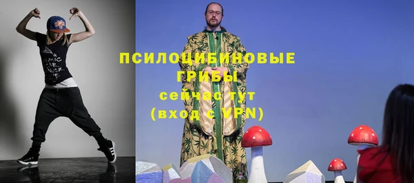 дмт Абаза