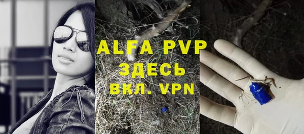 твердый Алзамай