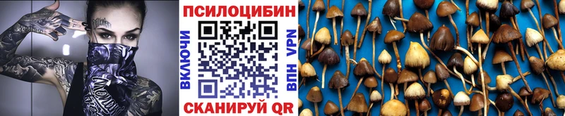 Галлюциногенные грибы GOLDEN TEACHER  магазин    Псков 